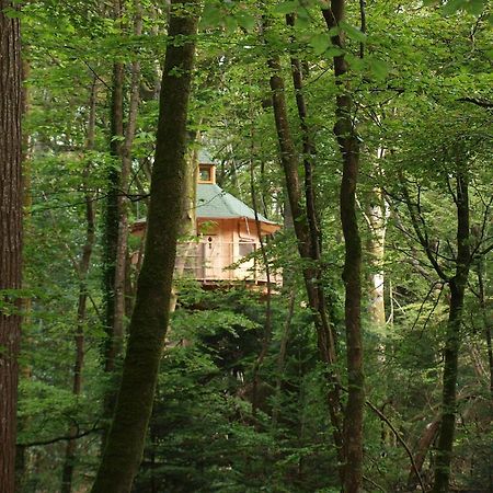 Les Cabanes De Kermenguy Cléder Pokoj fotografie