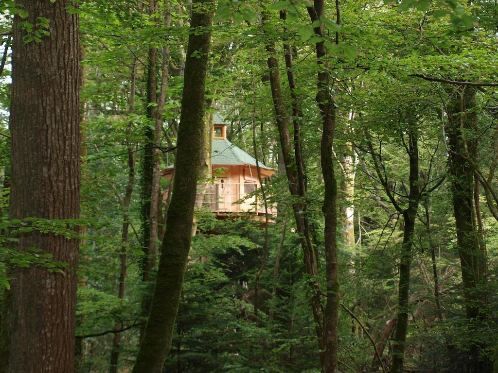 Les Cabanes De Kermenguy Cléder Pokoj fotografie